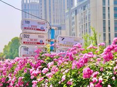 -南京国际青年文化中心