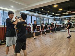 -温鉴良实用咏春拳