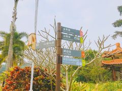-深圳仙湖植物园
