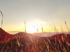 -长虫山生态公园风景林
