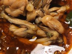 -味之绝热血美蛙鱼火锅(中坝店)