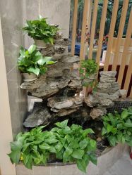 -雅曼妮spa美容养生