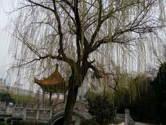 -咸阳湖景区-古渡公园