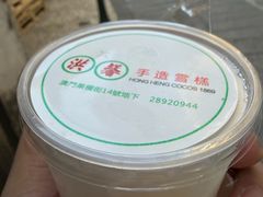 -洪馨椰子