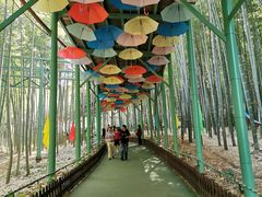 -陶祖圣境风景区