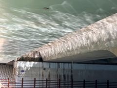 -天鹅湖体育公园