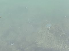 -东澳岛