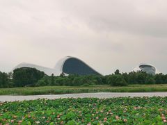 -哈尔滨大剧院