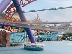 -上海海昌海洋公园
