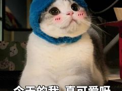 -杭州浪浪浪水公园