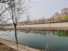 -桃花堤公园