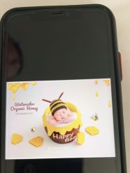 -象北鼻儿童摄影(西源集店)