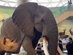 -陕西自然博物馆