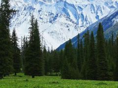 -天山神秘大峡谷