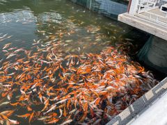 -长春市南湖公园