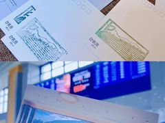 -白茶原·一片叶子