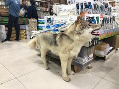 -刘记大牧民牛肉干超市