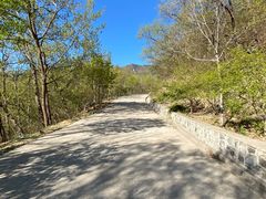 -大觉寺-停车场