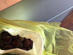 -马陆小张葡萄园农家乐