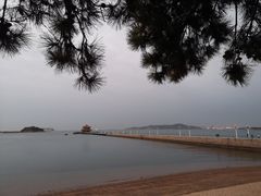 -青岛海滨风景区