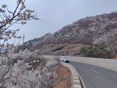-妙峰山风景名胜区