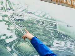 -永定河休闲森林公园