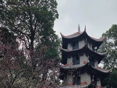 -成都杜甫草堂博物馆