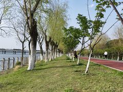 -艾溪湖湿地公园