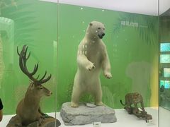 -国家自然博物馆