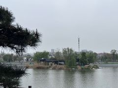 -葛仙湖公园
