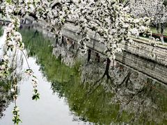 -海棠花溪(元大都城垣遗址公园)