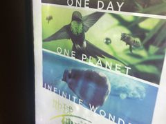 -自由人影城(大庆唐人中心店)