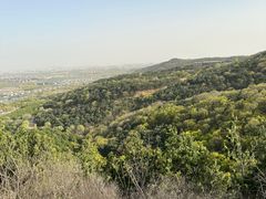 -北京西山国家森林公园