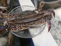 -圣罗巴海鲜自助(黑金店)