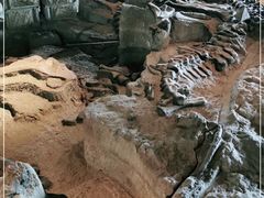 -自贡恐龙博物馆