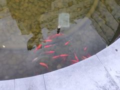 周边环境-北京市肛肠医院(北京市二龙路医院)