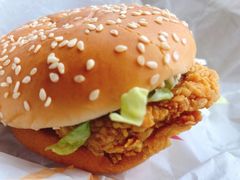 -麦当劳(红旗路店)