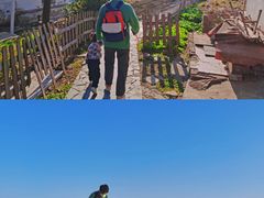 -巢湖姥山岛