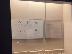 -安徽省地质博物馆