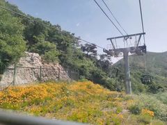 -紫金山山顶公园