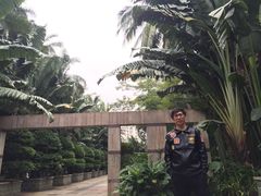 -海口骑楼小吃街