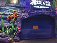 -青岛嘉年华主题乐园