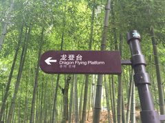 -藏龙百瀑风景区