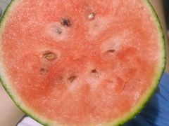 -芳群园二区便民菜篮子直营店