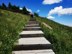 -白草畔自然风景区