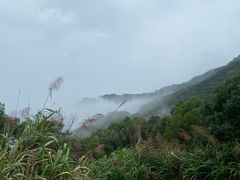 -花竹村