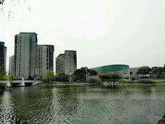 -新江湾城公园