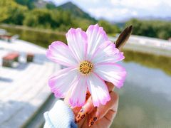 -五当召景区