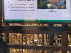 -恩施大峡谷