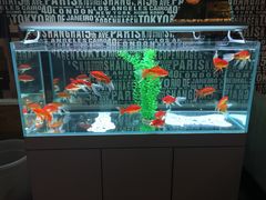 -拿渡麻辣香锅(和谐广场店)